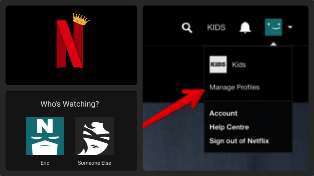 Manage Netflix User Profiles