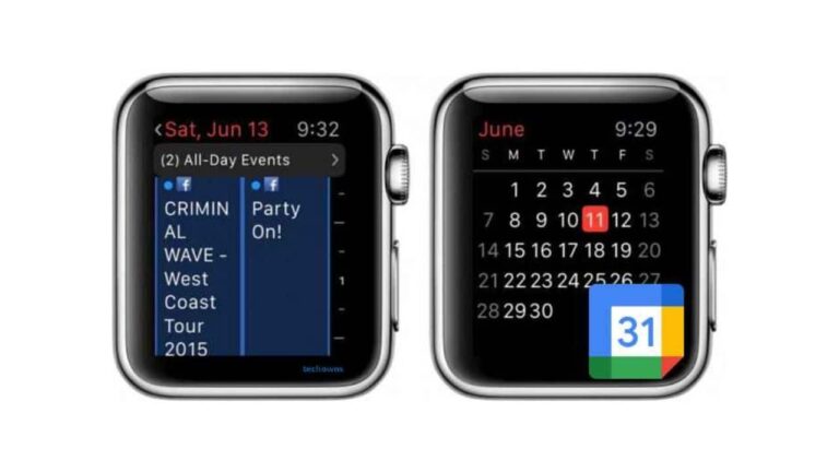 Google Calendar Apple Watch