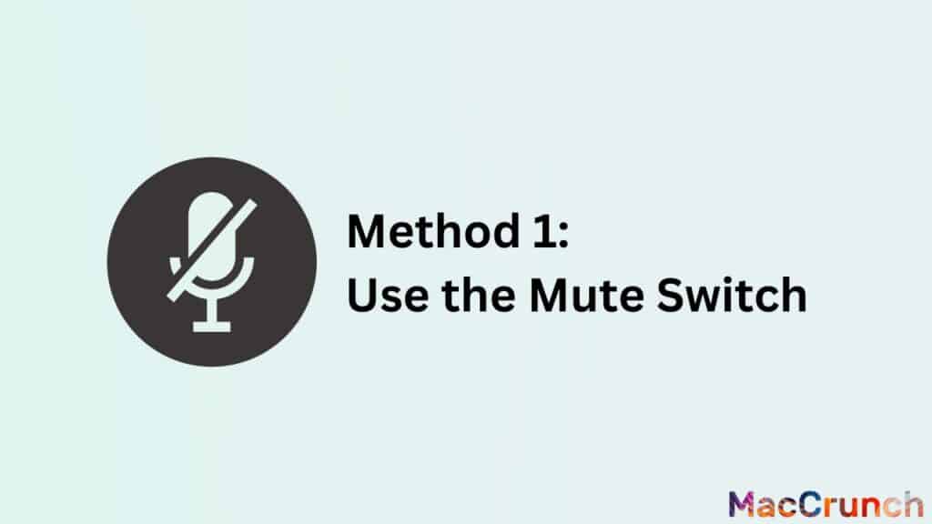 Method 1: Use the Mute Switch