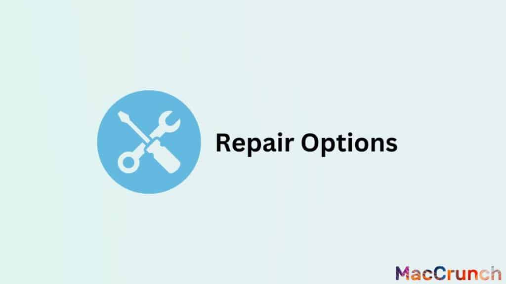 Repair Options