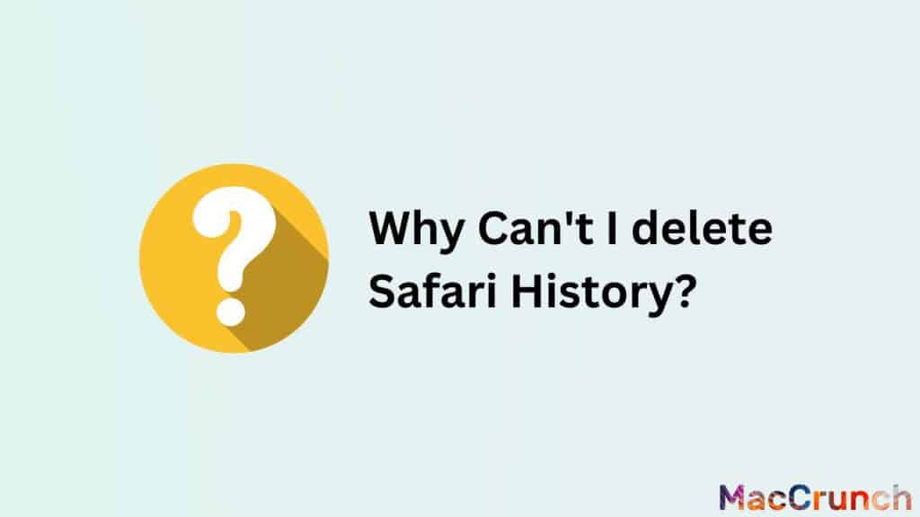 Why Can't I delete Safari History