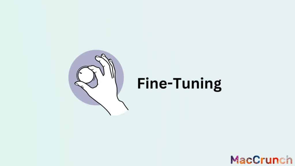 Fine-Tuning